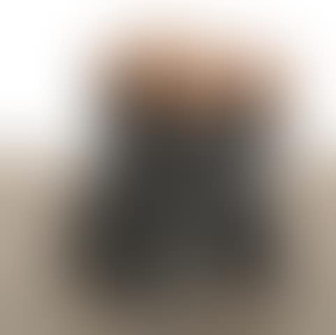 Sculpture (preview)