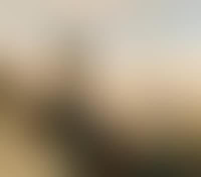 View of Florence (preview)