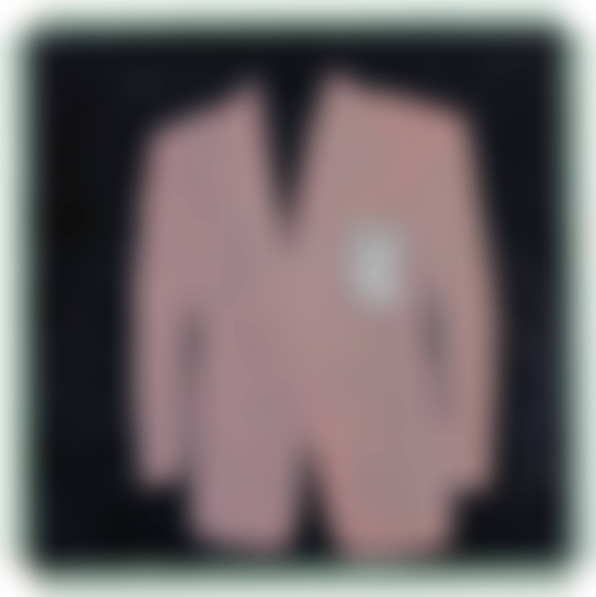 Vest S (preview)
