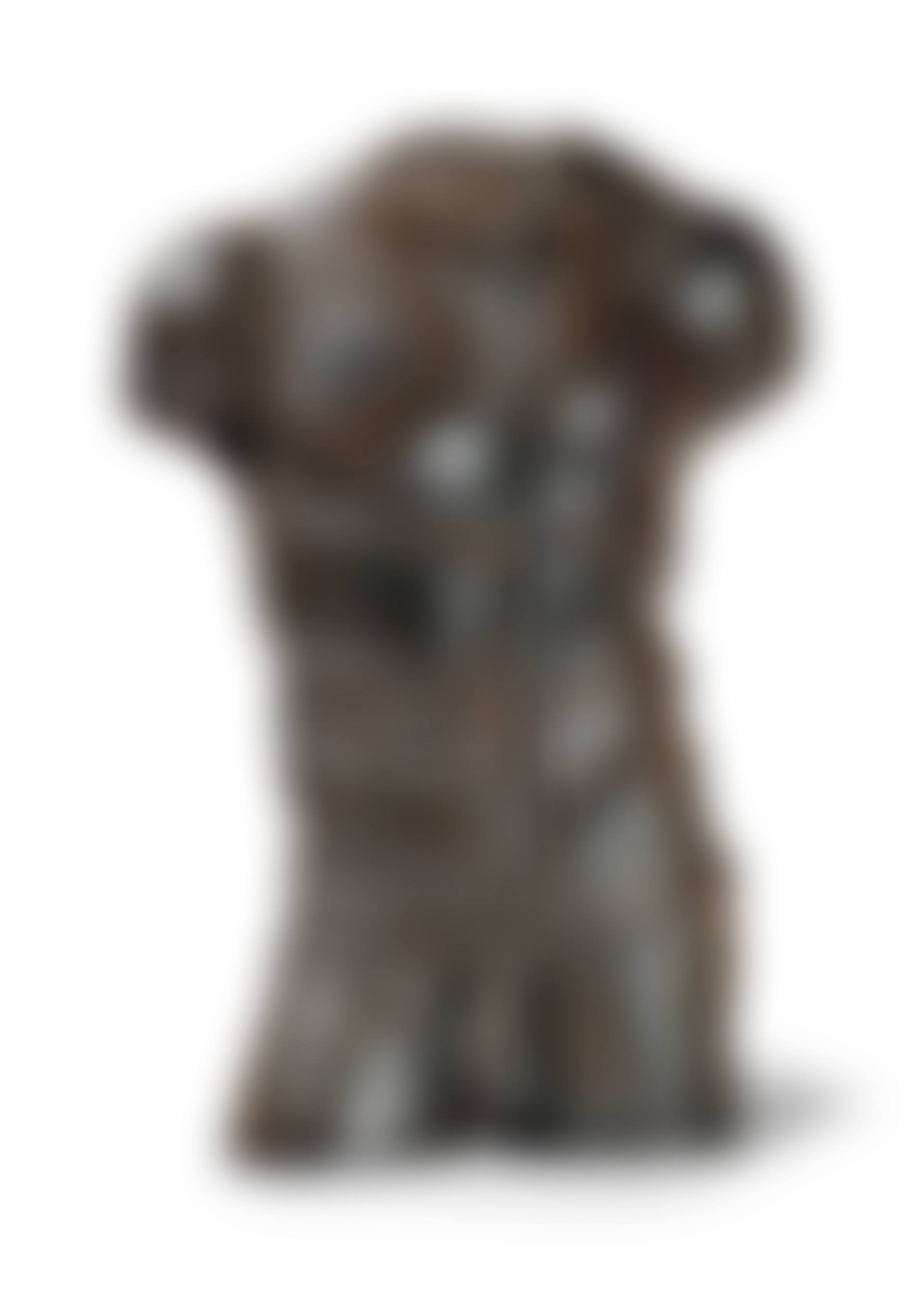 Torso (preview)