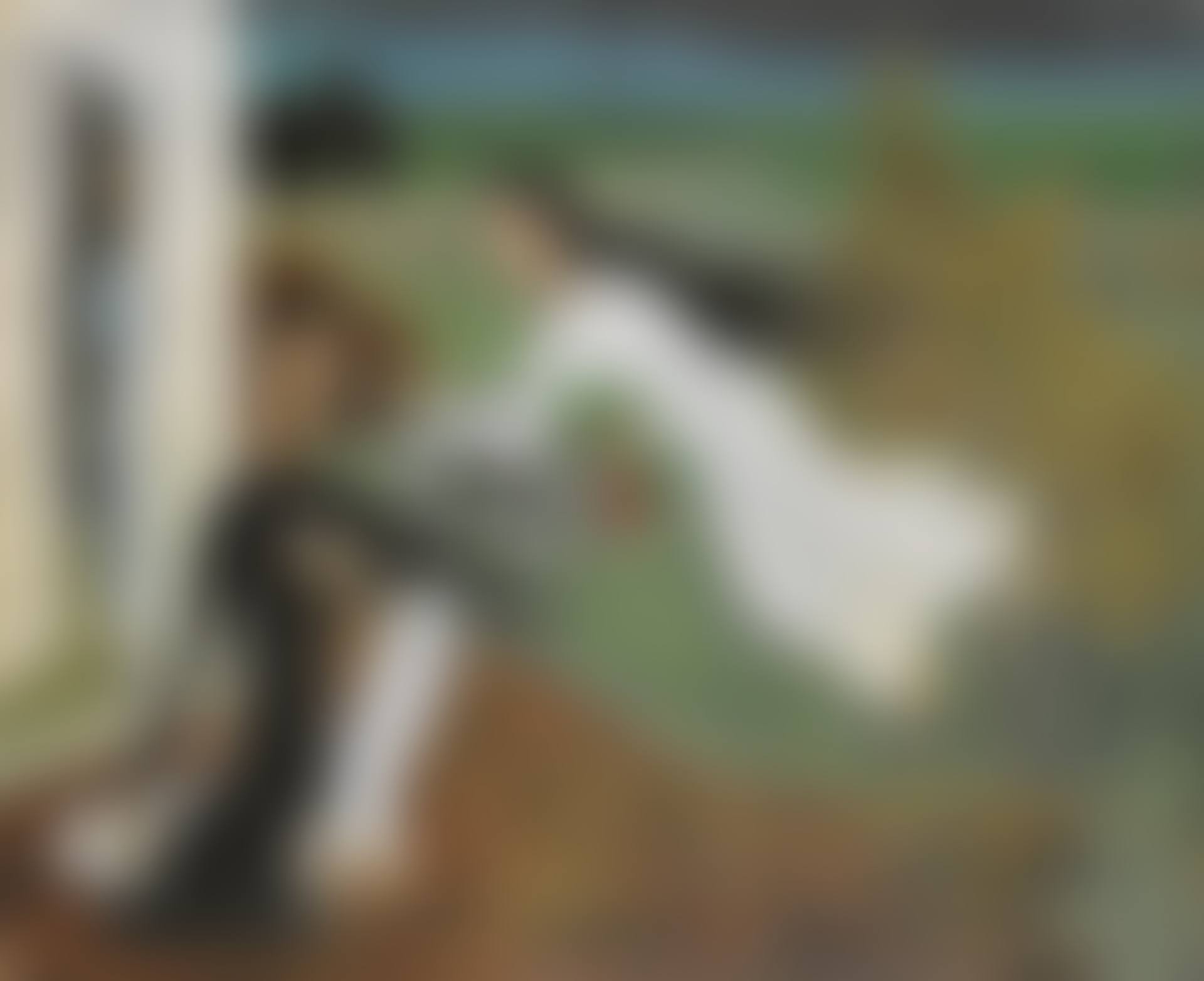 LE R Ê VE (THE DREAM) (preview)
