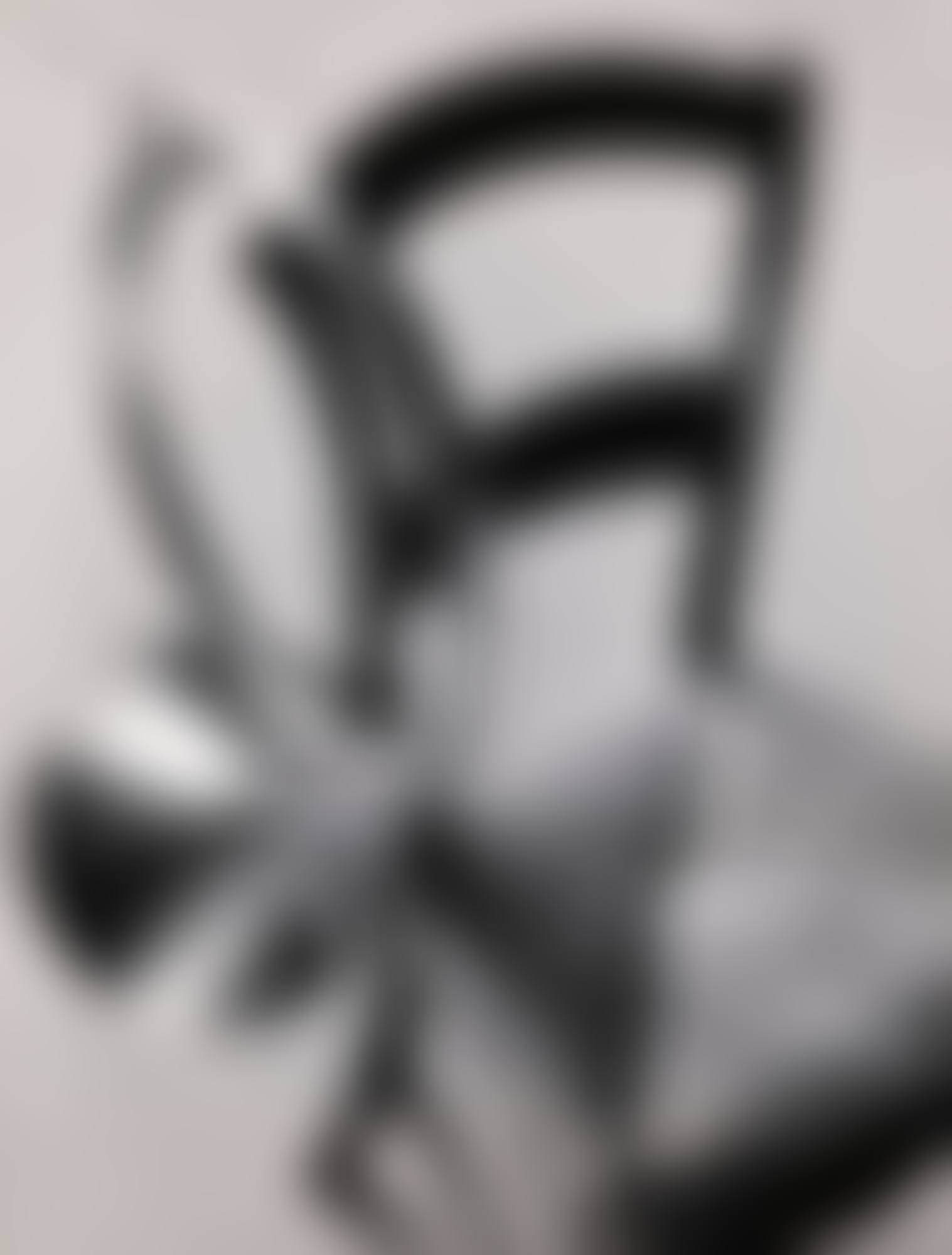 CHAIR AND FRENCH HORN, PARIS (preview)