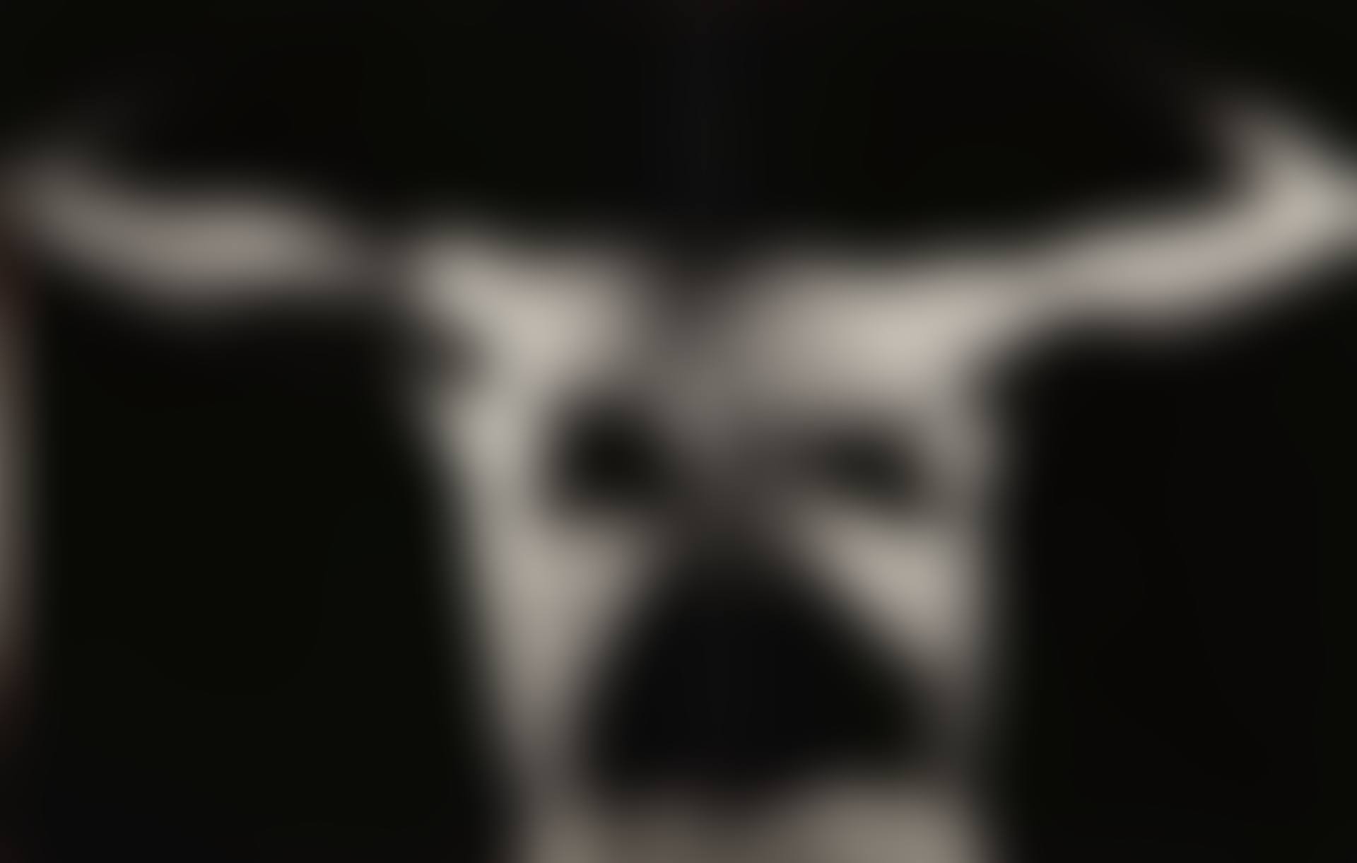 MINOTAUR (preview)