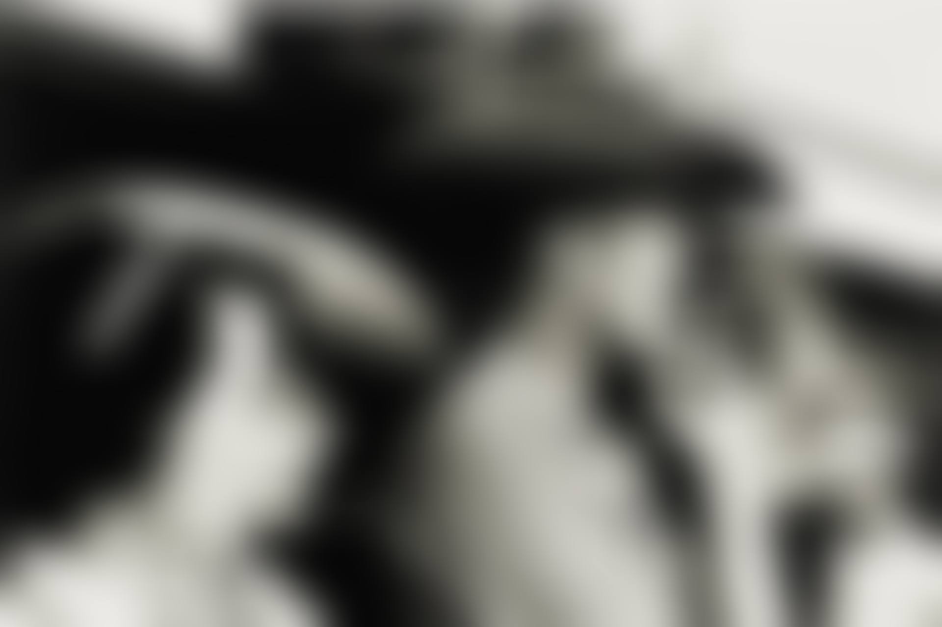 DETROIT RODEO' (preview)