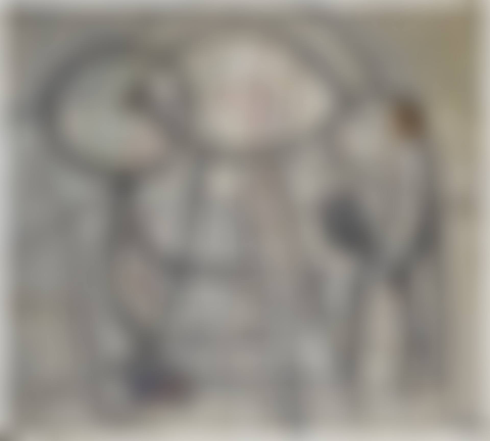 SPINDELVAEV (SPIDER WEB) (preview)