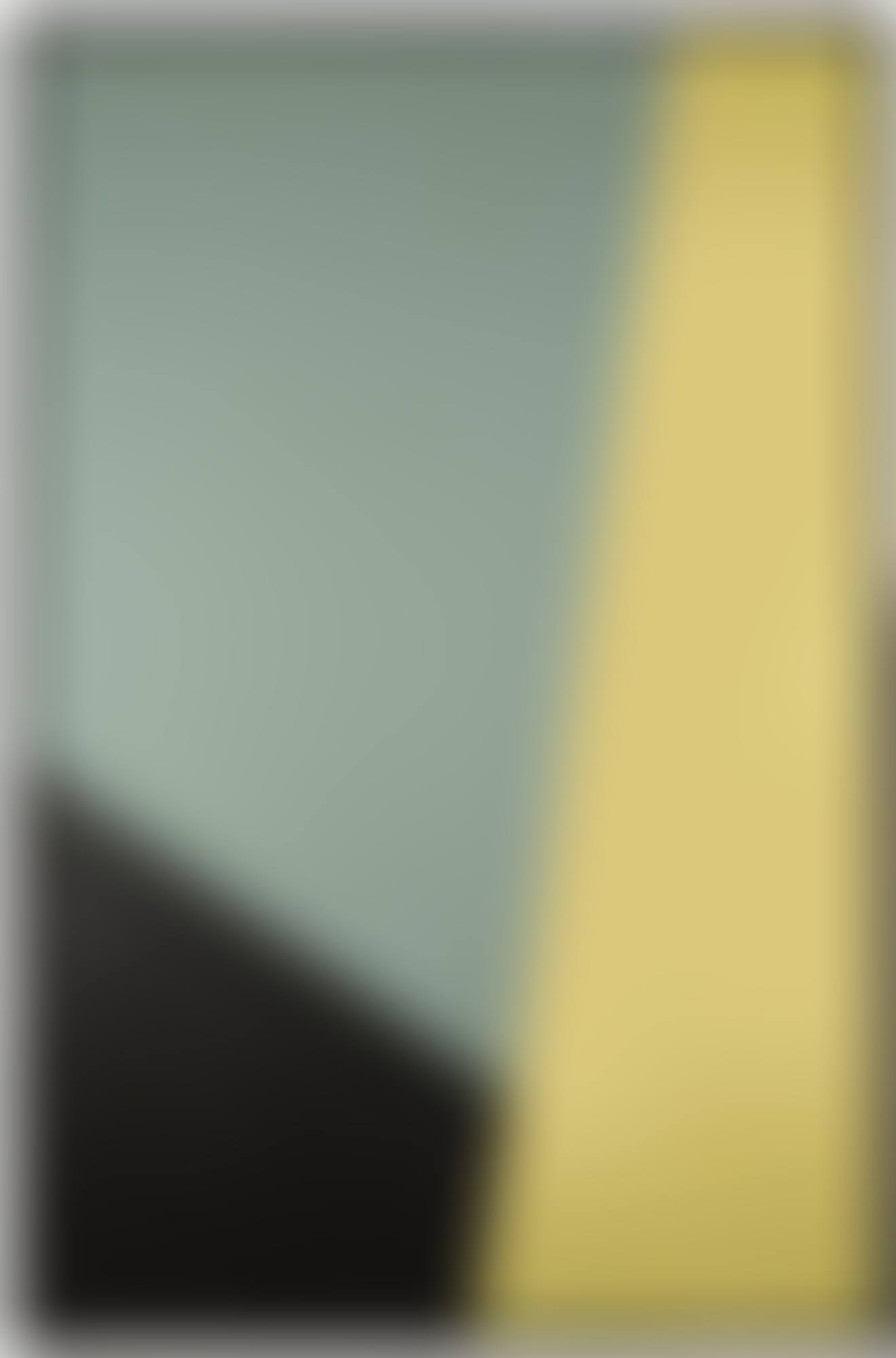 FLAG PIECE #9 (preview)