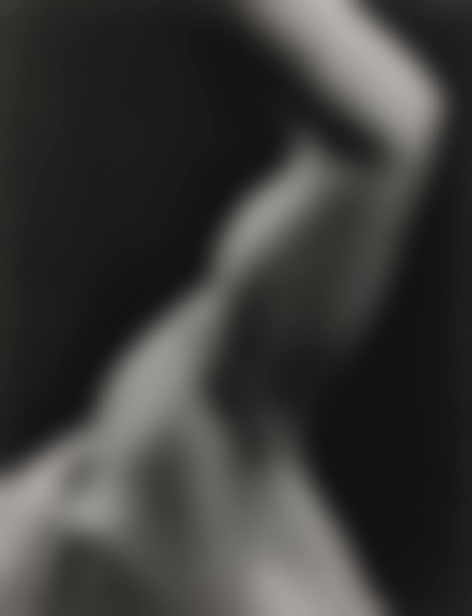 BRAS' (ARM) (preview)