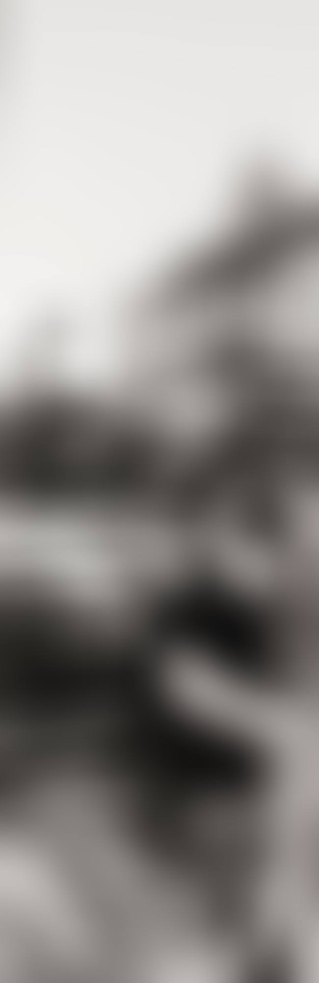 PANORAMIC NUDE - THE SCHOOL TEACHER, LAKE COMO (preview)