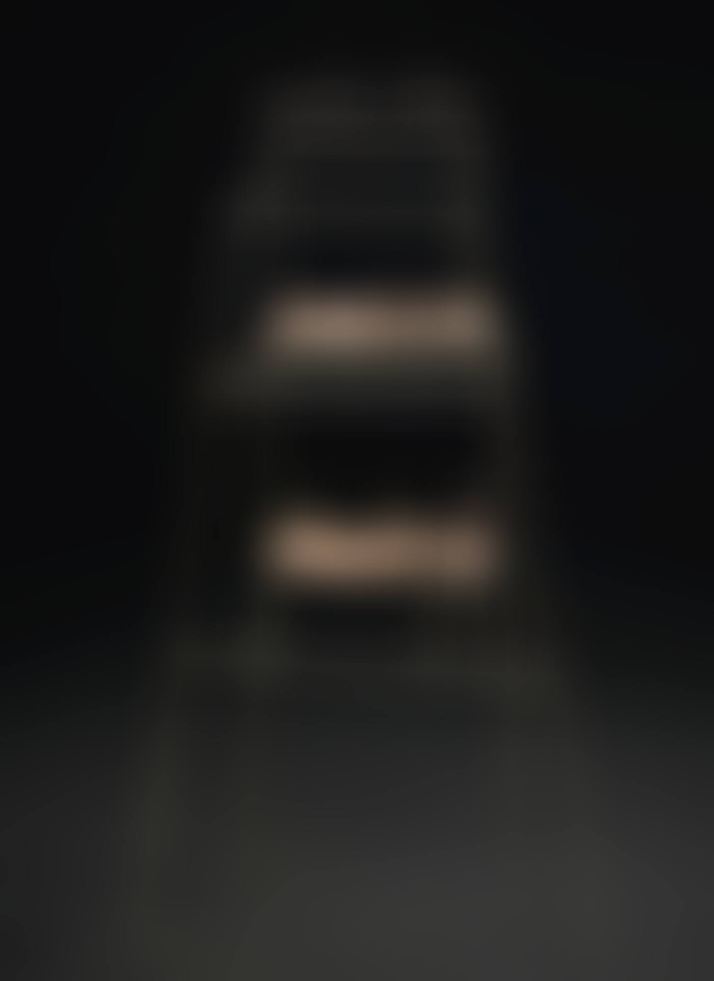 HOTEL DIEU (preview)