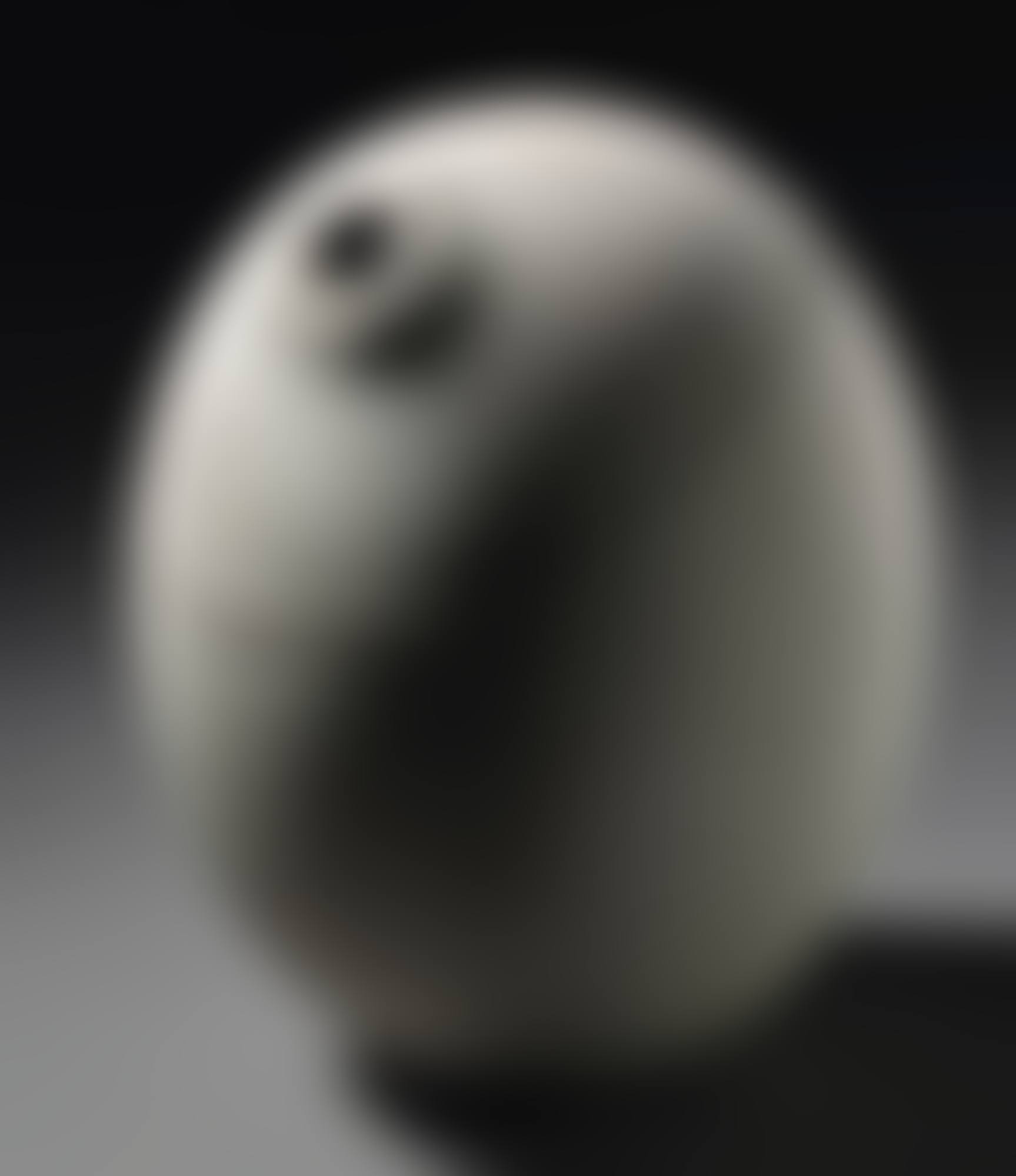 CONCETTO SPAZIALE (preview)