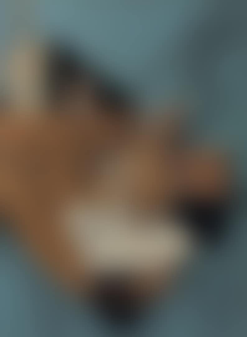 La table de musicien (preview)