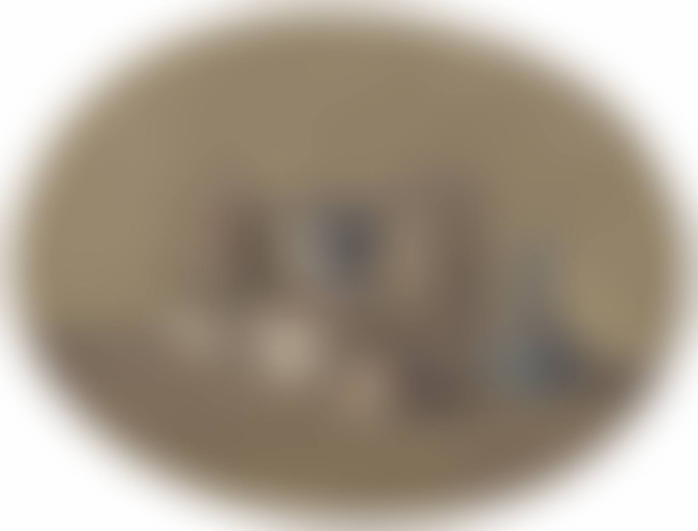 Natura morta (preview)