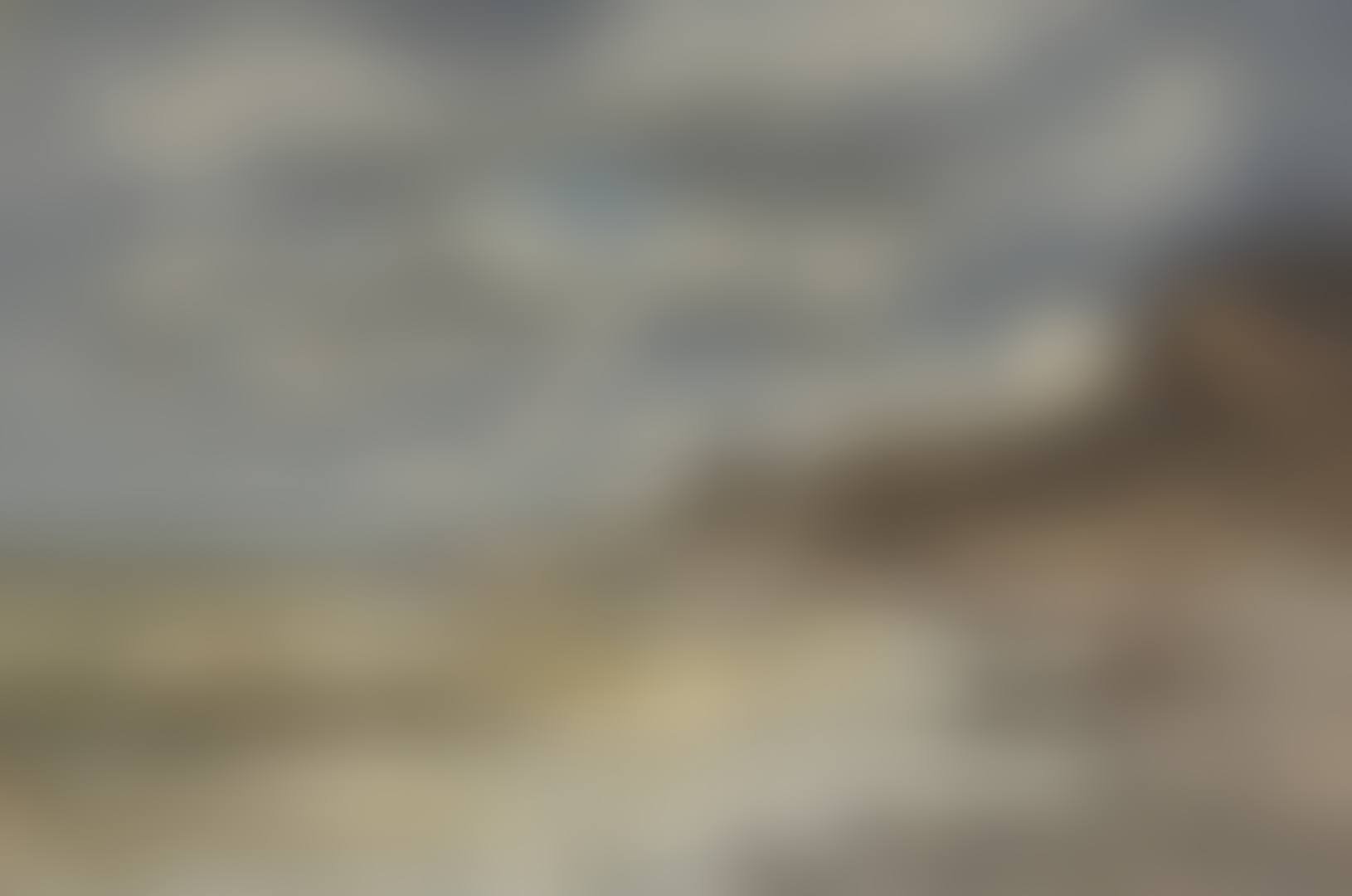 Bord de mer àSainte-Adresse (preview)