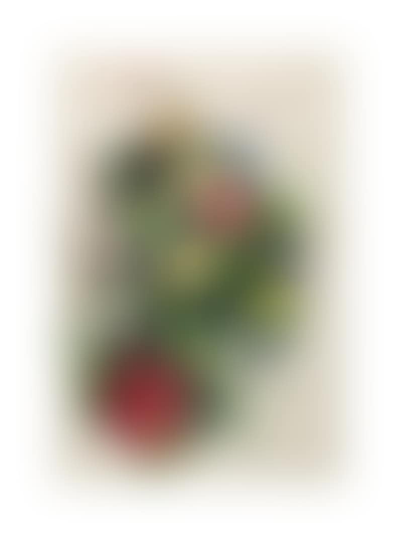 Zinnias: A Double-Sided Work (preview)