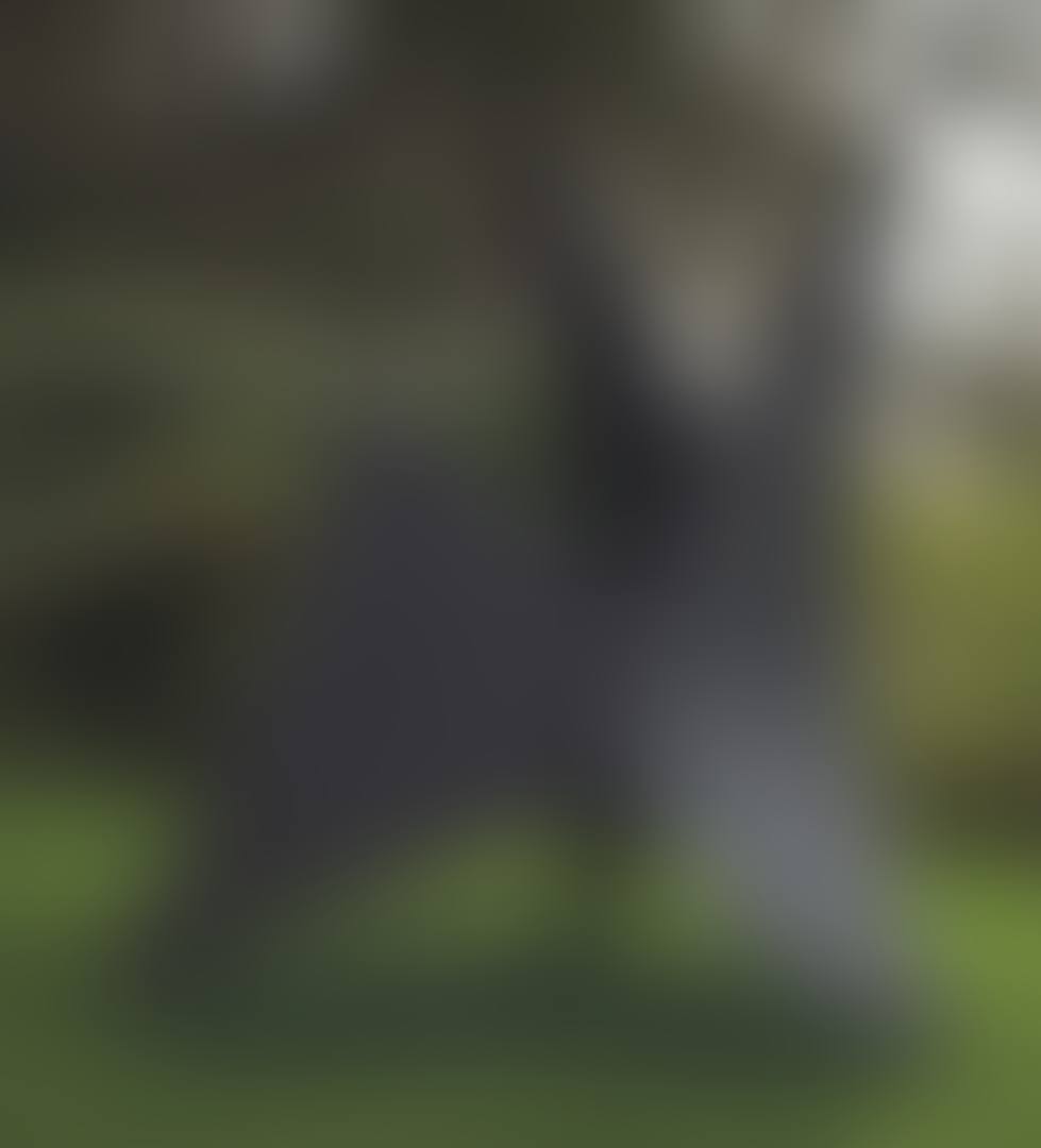 The Plow (preview)