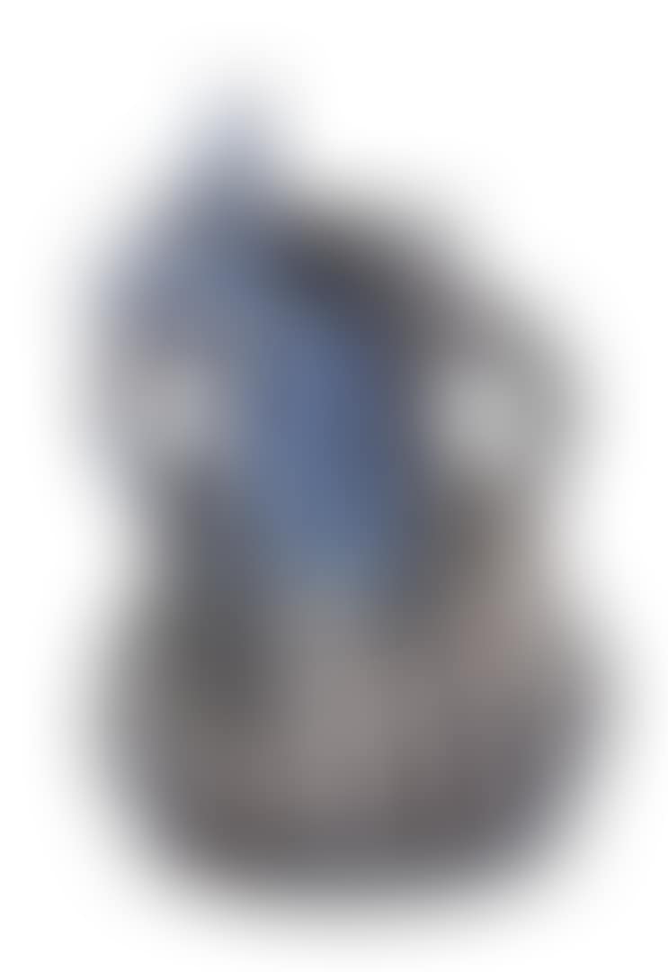 L'âne bleu (preview)