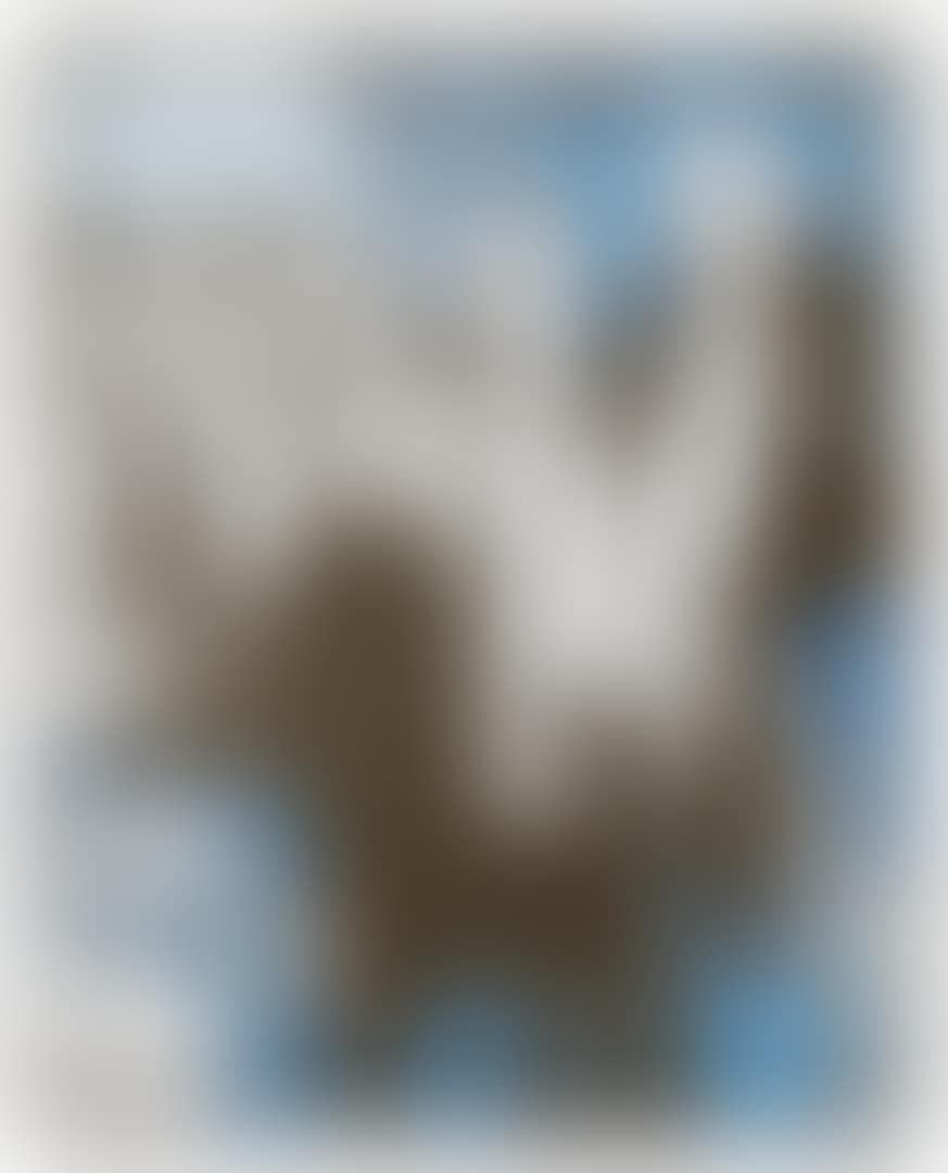 La Conferencia (preview)
