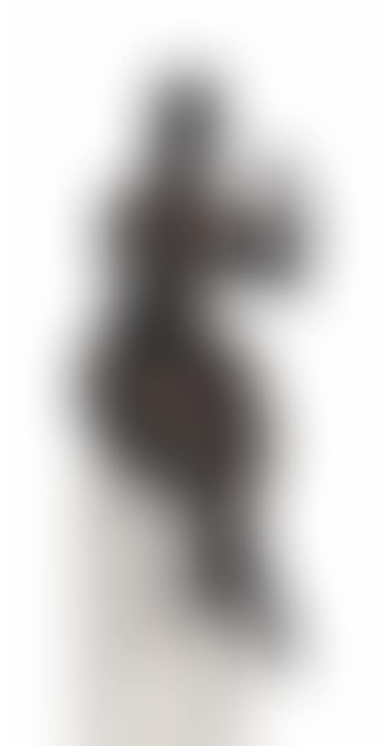 Seated Woman with Raised Arm (Circus Woman) (preview)