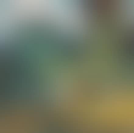 Notturno (preview)