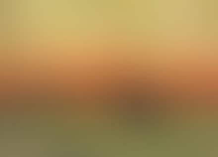 Tramonto a Bocca d'Arno (preview)