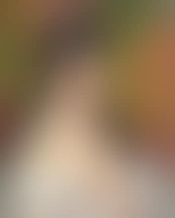 Testa bruna (preview)