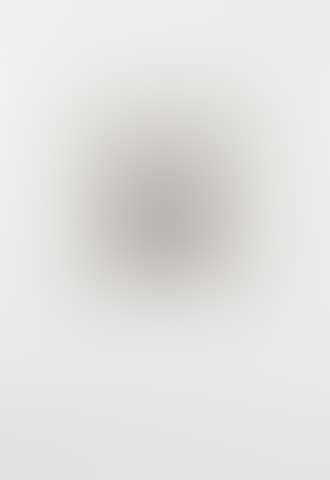 Wire Brush, from Four German Brushes (preview)