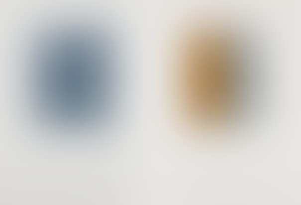 Untitled; and Untitled (preview)
