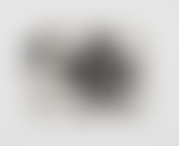 Untitled, from Harvey Gantt (preview)