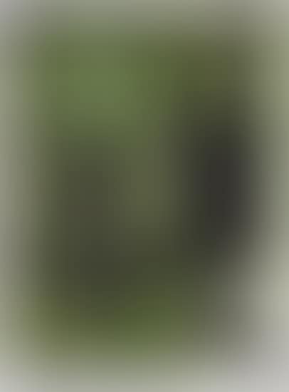 Untitled (preview)