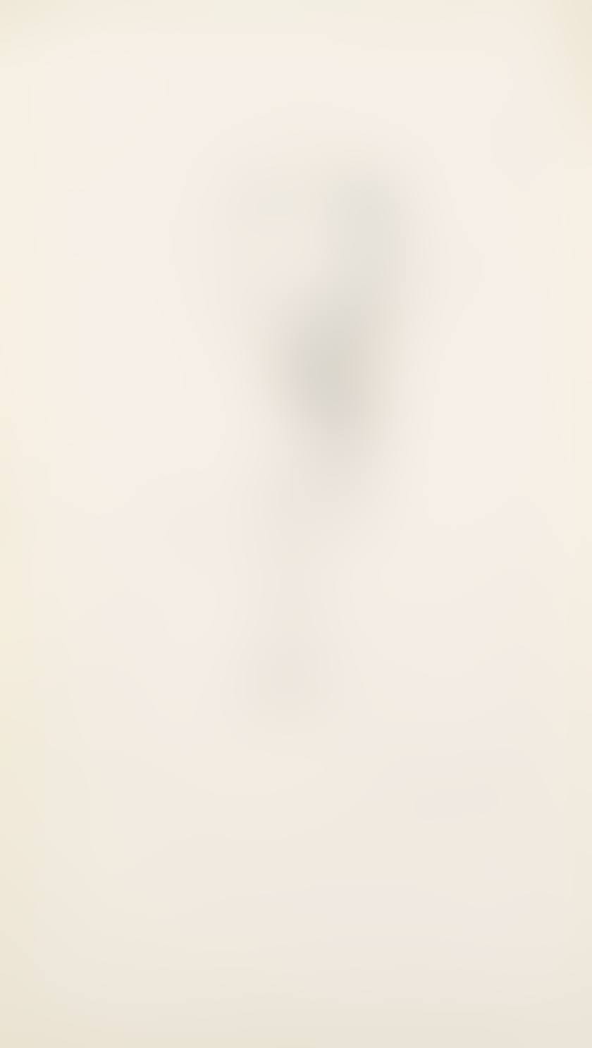 Portrait of a Man (preview)