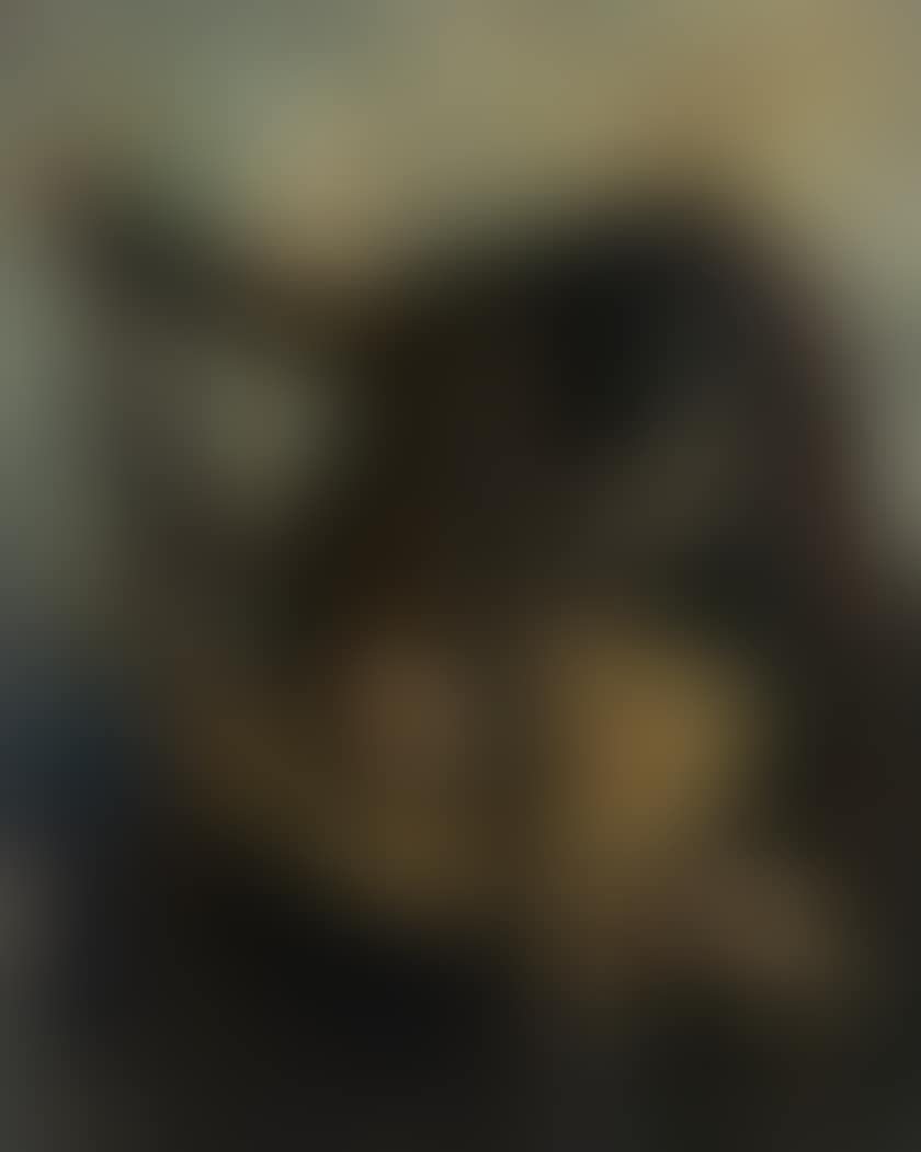 The Chair Rampailleur (preview)