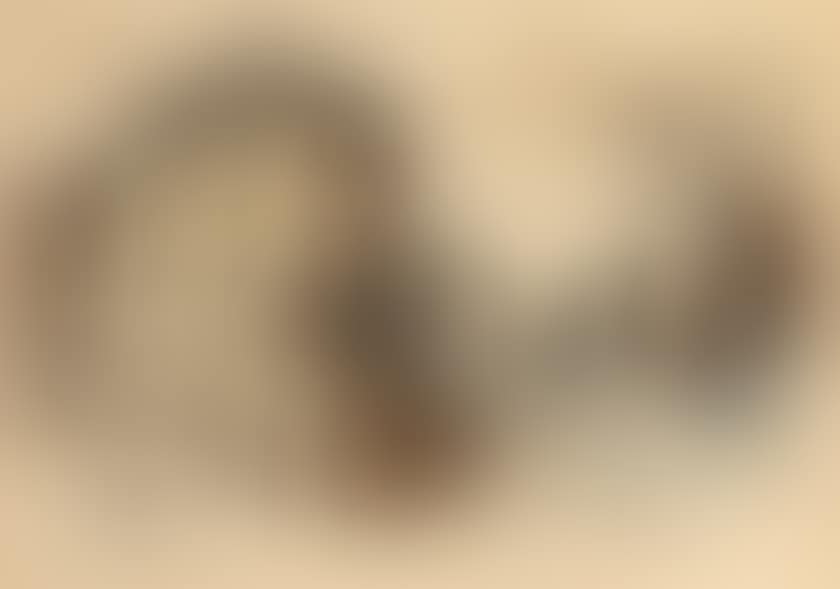 View of a castle and study of man's head (preview)