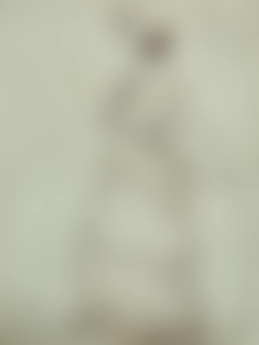 Woman with the racket (preview)