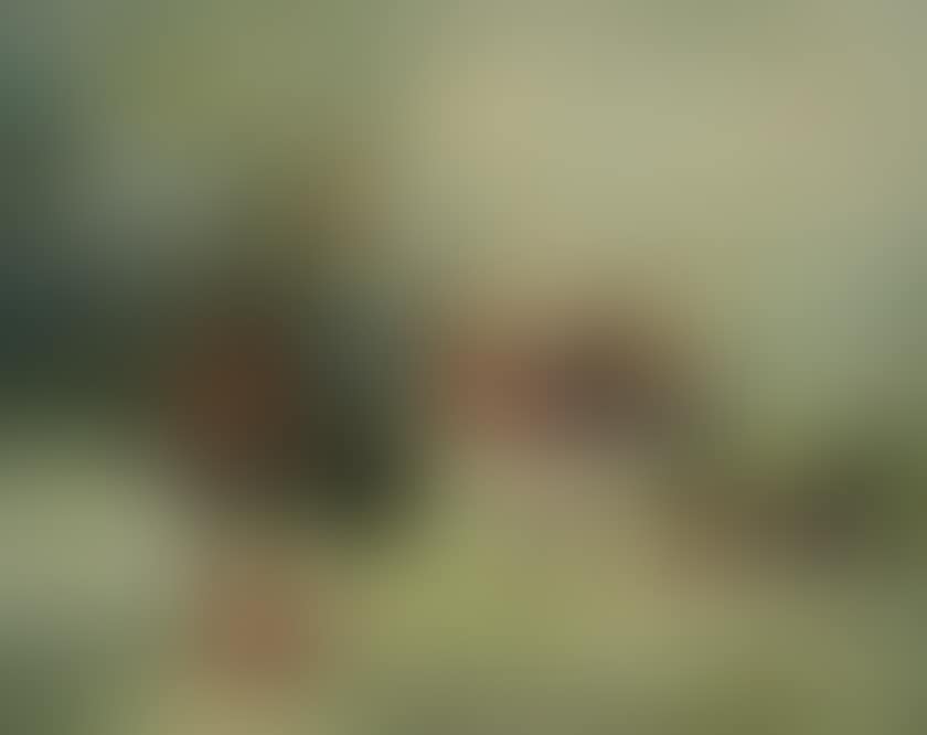 Still life with figs (preview)