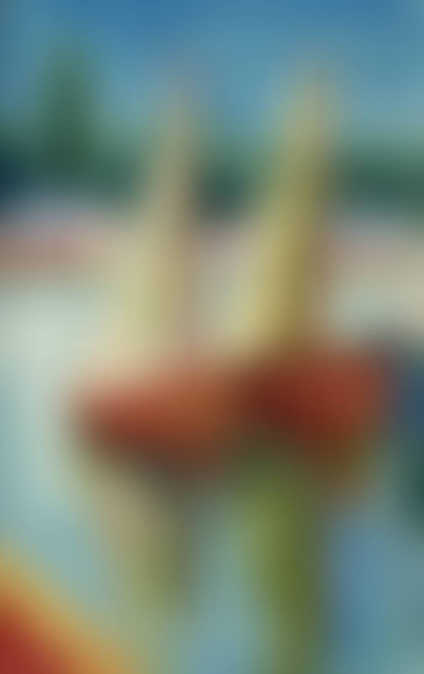 Honfleur FED1 (preview)