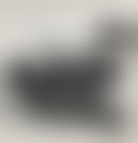 Six Cormorants (preview)
