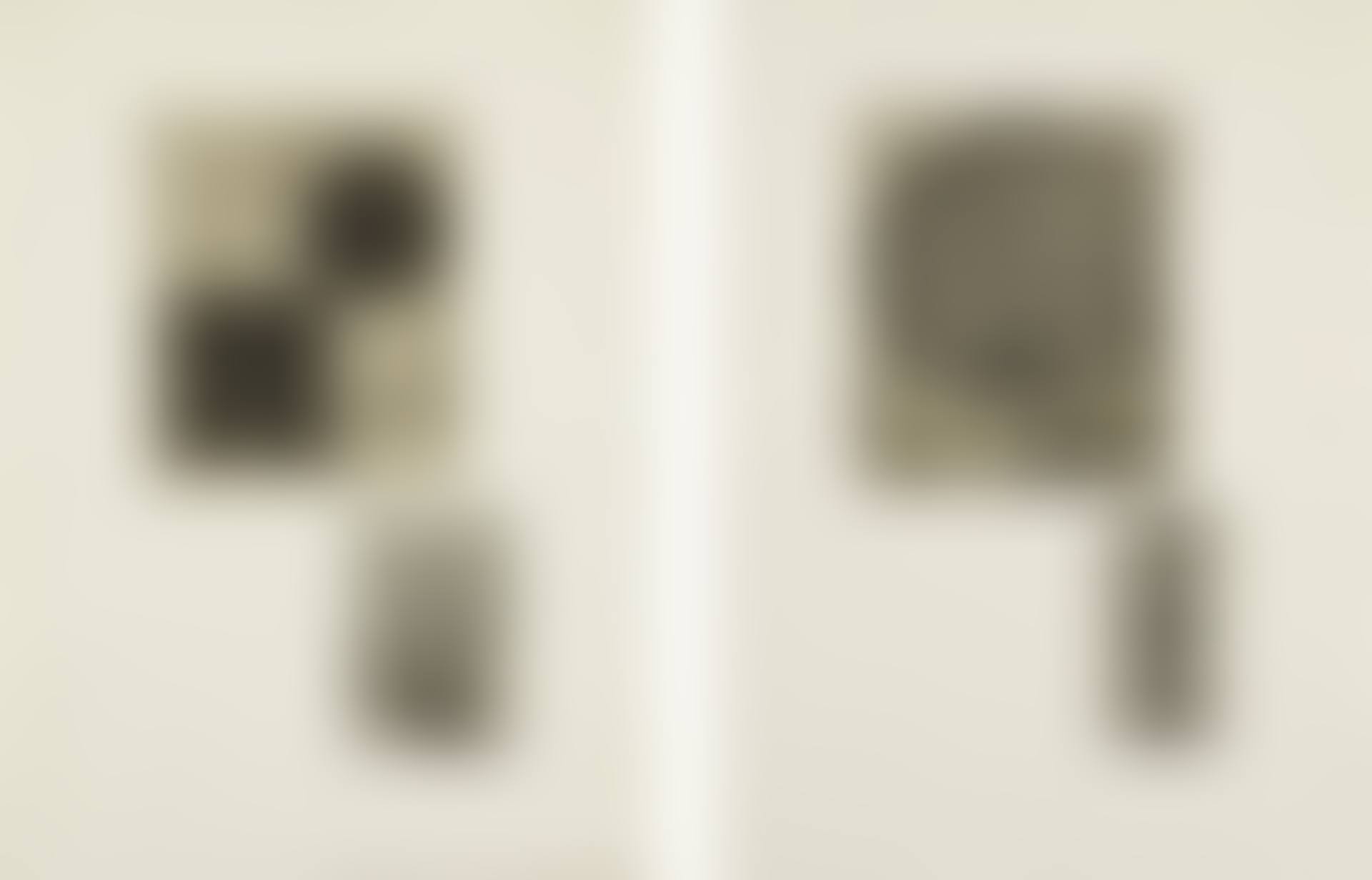FOURTEEN ETCHINGS (SOJKA 34-47) (preview)