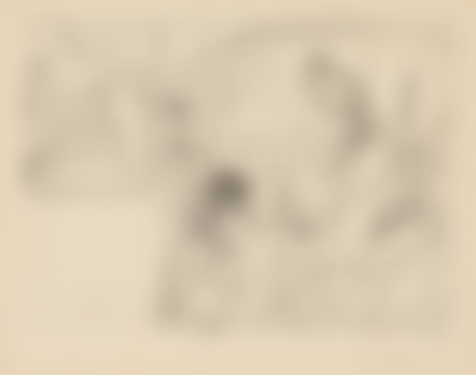 MINOTAURE AVEUGLE GUIDÉ PAR UNE PETITE FILLE AUX FLEURS (BLOCH 222; BAER 434) (preview)