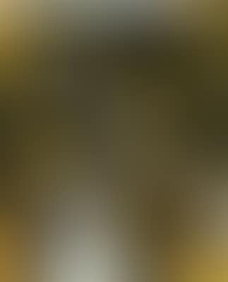 Yellow-gray Chinese wall (preview)