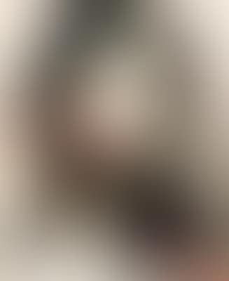 Untitled (preview)