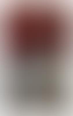Untitled (preview)