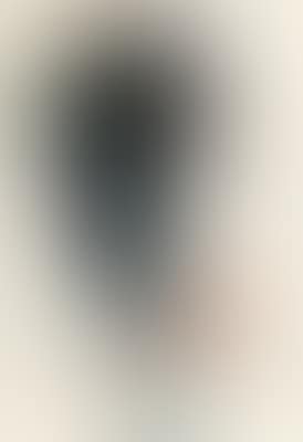 “Blindzeichnung aus der Sonne...” (preview)