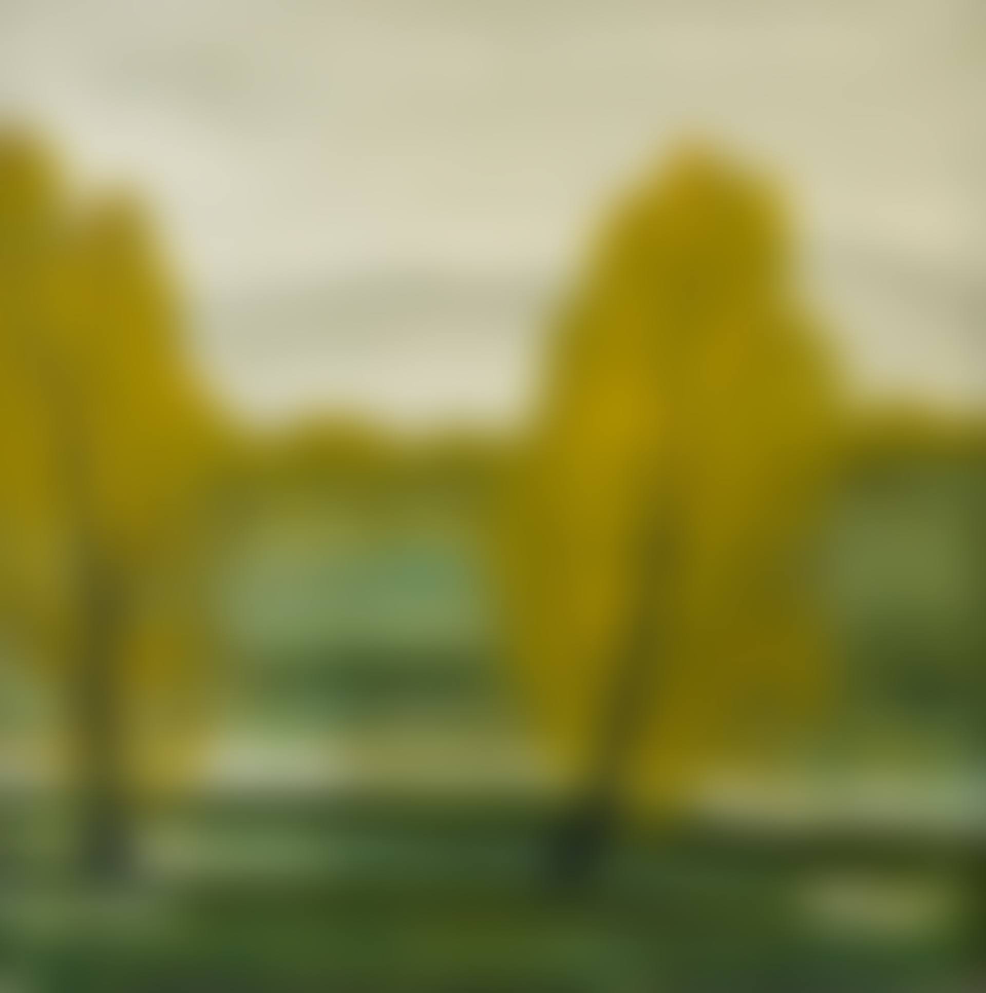 SPRING SCENERY (preview)