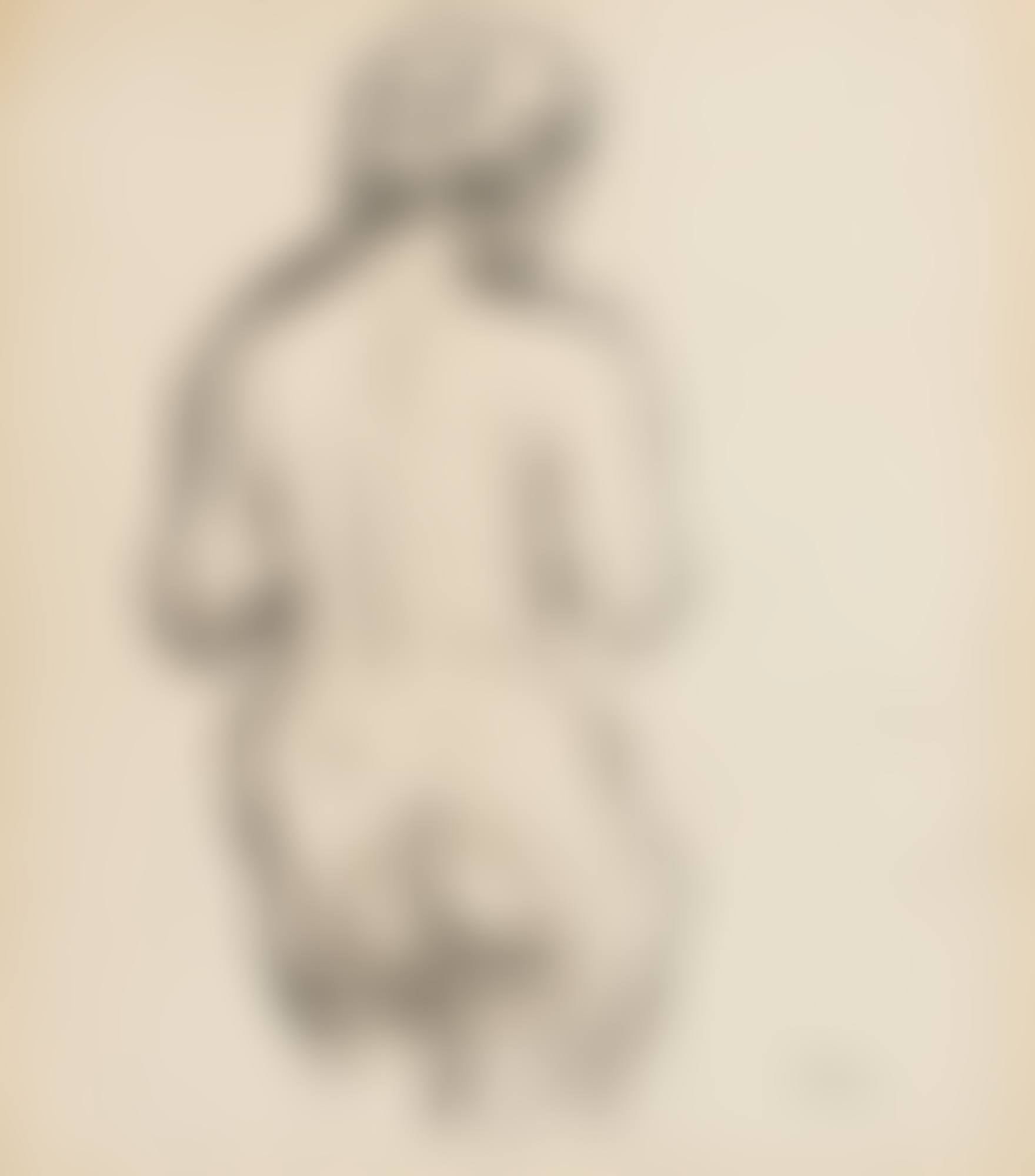 NUDE TORSO FROM THE REAR (preview)