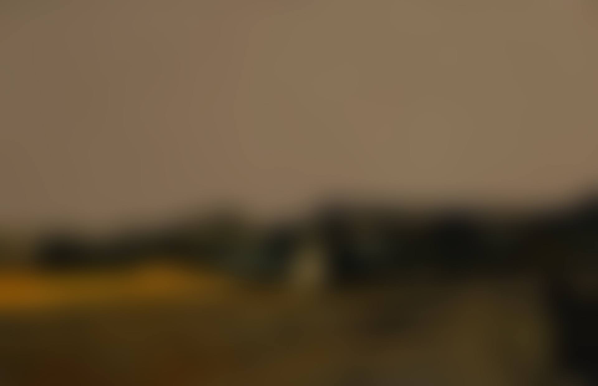 PAYSAGE DE PROVENCE (preview)