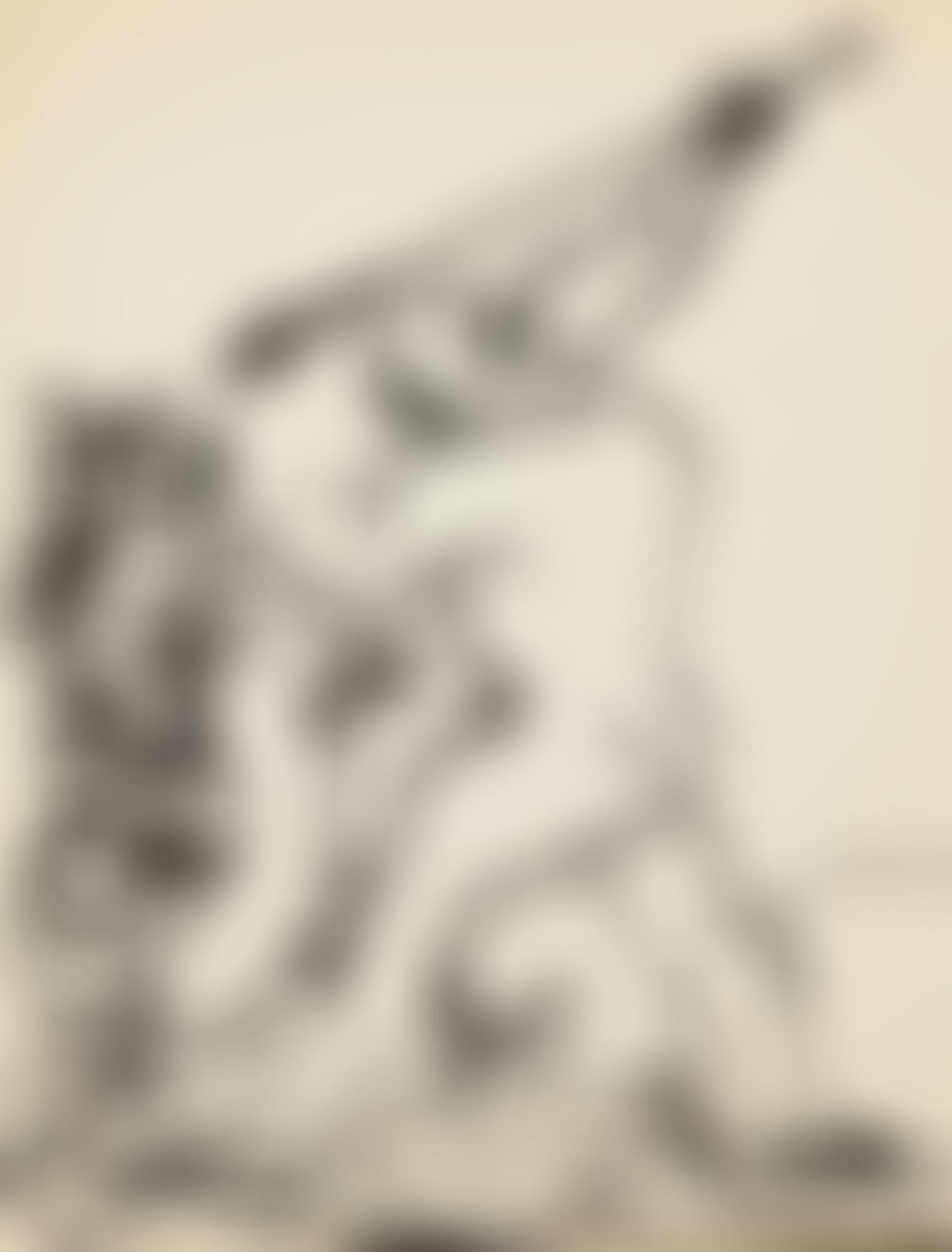 HOMME TERRASSANT UN DRAGON (preview)