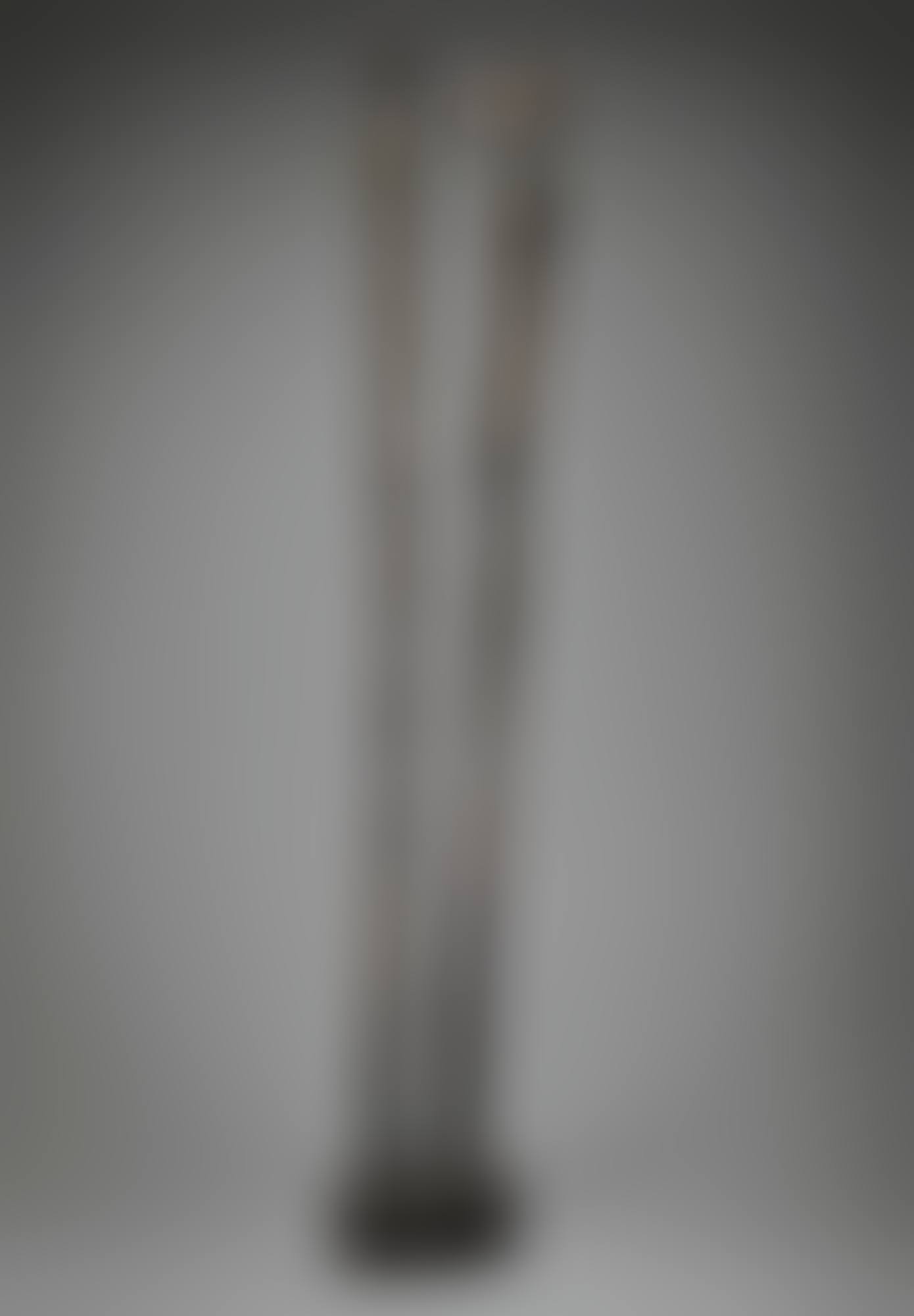 LES ASPERGES DE LA LUNE (preview)
