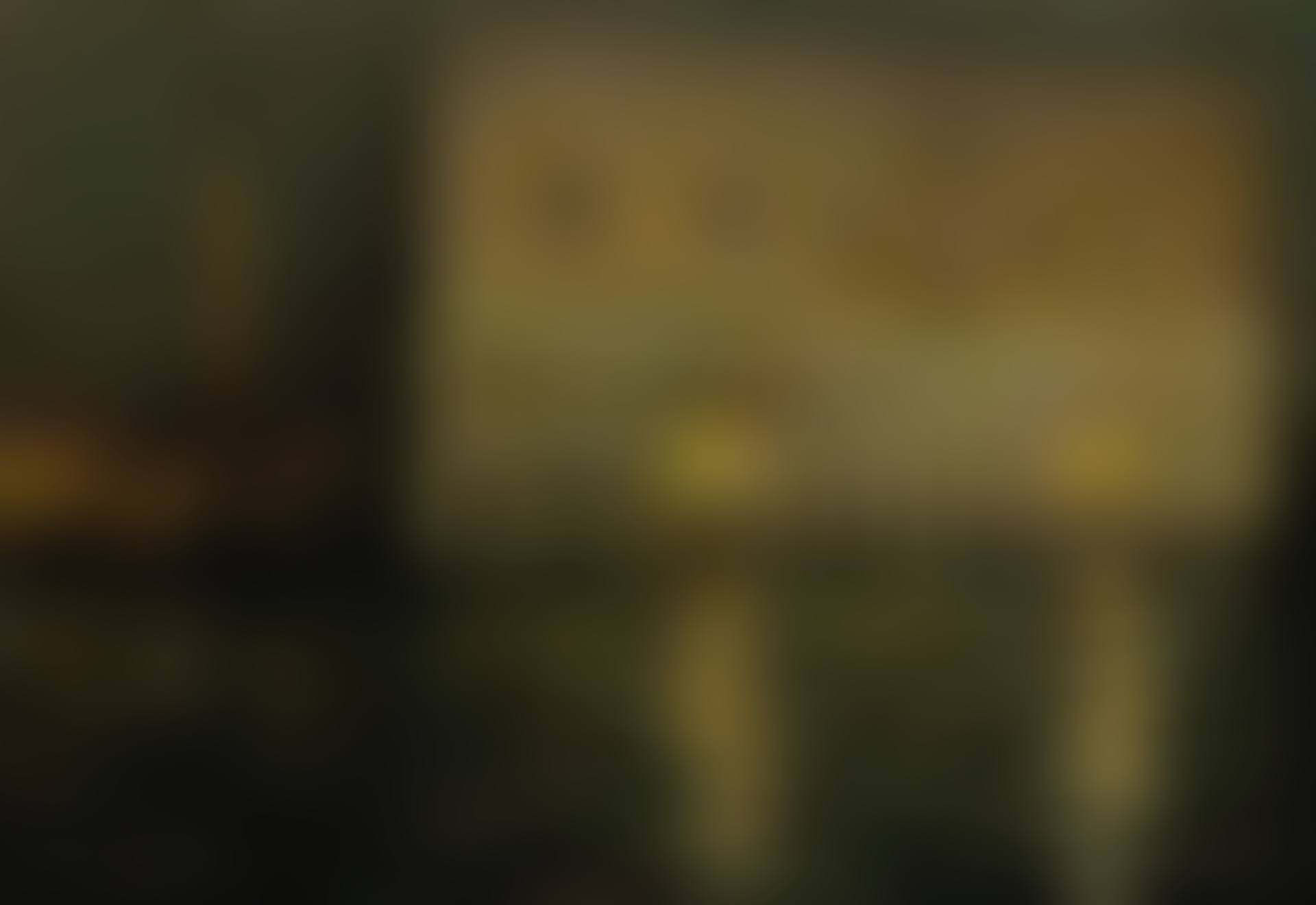 LE PALAIS DUCAL (preview)