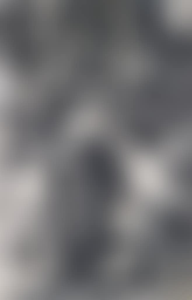 The Man of Sorrows Standing by the Column; Christ Carrying the Cross (preview)