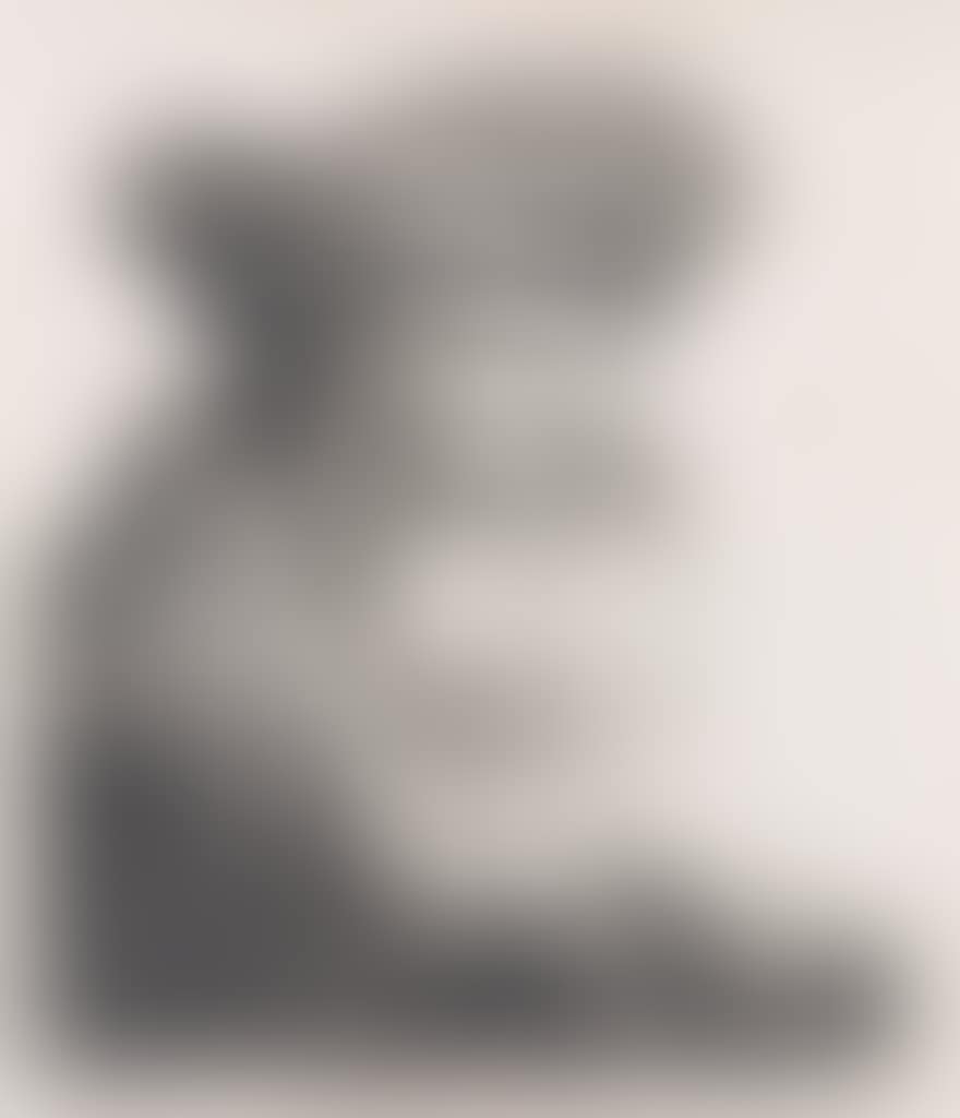 Bearded Man In A Velvet Cap With A Jewel Clasp (preview)